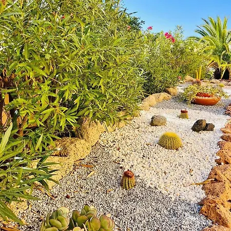 Terraza Del Mar Costa Adeje (Tenerife)
